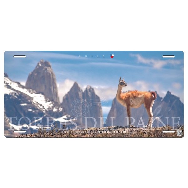 Patente Guanaco Torres del Paine