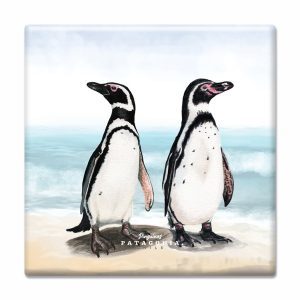 Posavaso Cerámico Pingüinos Acuarela