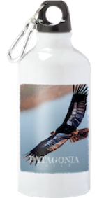 PSBIER-CONDOR PSBIER-CONDOR